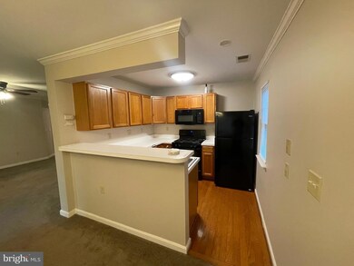 9131 Gracious End Ct unit 104, Columbia, MD 21046 - photo 4