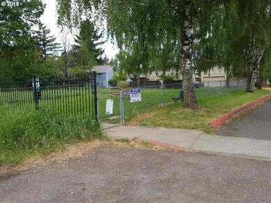 Dog Run