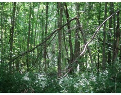 00 Moulton Hill Rd, Monson, MA 01057 - photo 5