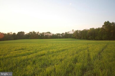 35679 Paxson Rd, Purcellville, VA 20132 - photo 4