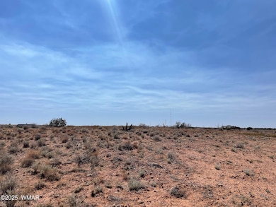 Parcel A Arizona 77, Snowflake, AZ 85937 - photo 2
