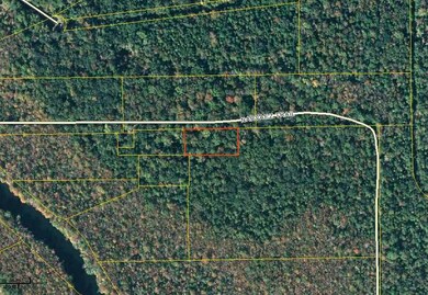 XX Narvaez Trail, Crawfordville, FL 32327 - photo 4