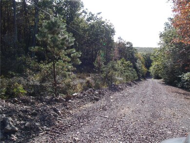 View of Oak Ridge Road - area offers plenty of pri