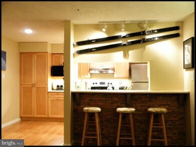 6015 Rock Glen Dr unit 406, Elkridge, MD 21075 - photo 2