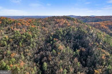 LOT 29 Raven Ridge Rd, Clayton, GA 30525 - photo 6