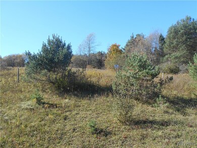 4738 Roszyk Hill Lot #1 Rd, MacHias, NY 14101 - photo 5