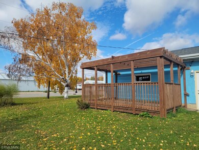 320 Main St E, Eagle Bend, MN 56446 - photo 3