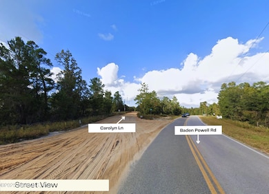 347 Chesser Monroe Rd, Hawthorne, FL 32640 - photo 7