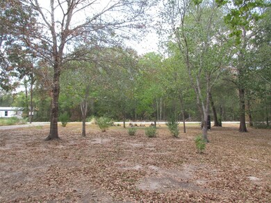 15815 Kropik Rd, Conroe, TX 77306 - photo 6