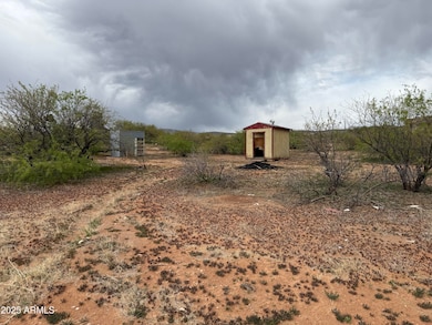 Middle area from street toward back of p