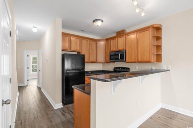 703 Beach Walk Place unit 703, Myrtle Beach, SC 29577 - photo 5