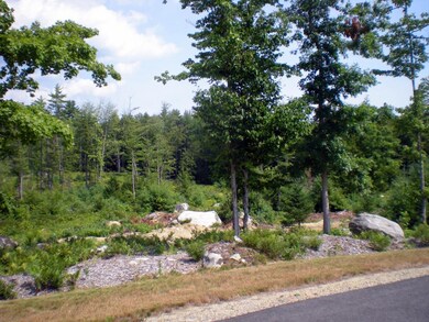 14 Deer Path Ln, Tuftonboro, NH 03816 - photo 7