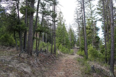 386 Rachael Meadow Ln, Kila, MT 59920 - photo 5