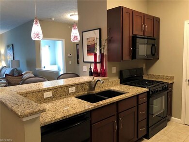714 Aqua Marine Blvd unit 33, Avon Lake, OH 44012 - photo 2