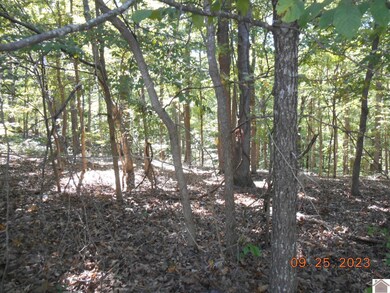 0 Rivers End Ct unit Lot 121, Cadiz, KY 42211 - photo 3