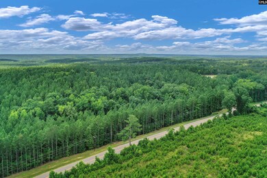 0000 S Carolina 215 unit 9, Jenkinsville, SC 29065 - photo 3