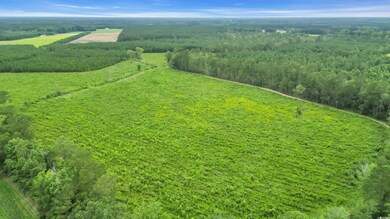 Overview of rural landscape