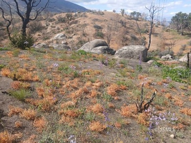 Small Hilltop