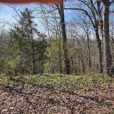 L-3, B-24 Algonquin Cir, Cherokee Village, AR 72529 - photo 2