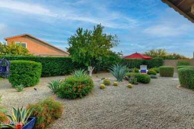 Easy care back yard