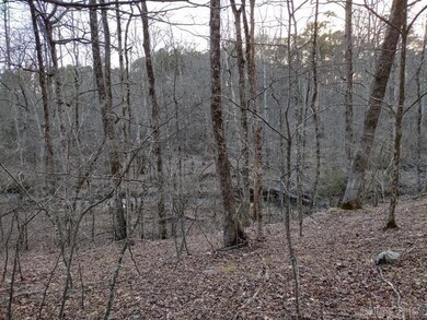 43 Mano Way, Hot Springs Village, AR 71909 - photo 5