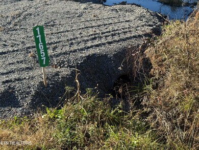 17657 N Nopone Valley Rd, Decatur, TN 37322 - photo 4