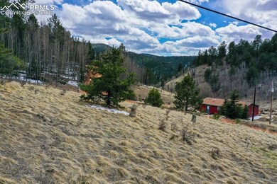 TBD Valley Rd, Divide, CO 60814 - photo 2