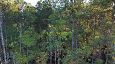 2700 County Road 443, Magnolia Springs, TX 75956 - photo 3