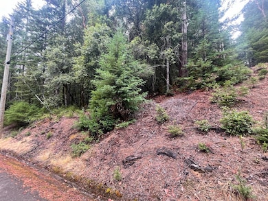 1817 Clover Dr, Brooktrails, CA 95490 - photo 3