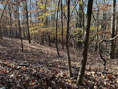 0 Dove Hill Rd unit 25439972, Royston, GA 30662 - photo 6