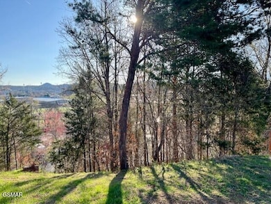 Lot 32 Blueberry Ridge Way, Pigeon Forge, TN 37863 - photo 5