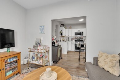 195 N St unit 2, Boston, MA 02127 - photo 4