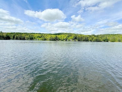 View from the dock