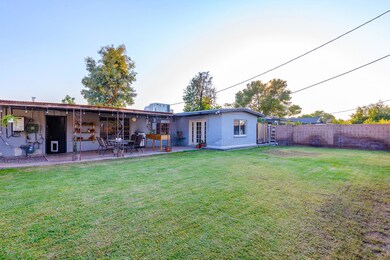 Backyard 01