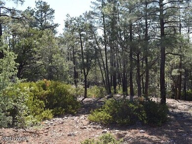 1675 S Pleasant View Dr, Show Low, AZ 85901 - photo 3