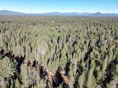 5-web-or-mls-15690 Cornell Road-5