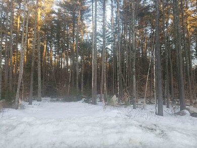 38 Poliquin Dr, Conway, NH 03818 - photo 2