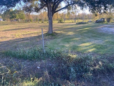 7444 King St, Manvel, TX 77578 - photo 5