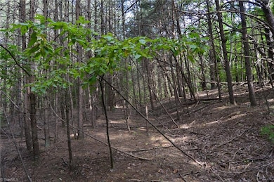 02 Hanging Rock Forest Rd unit Tract E (10.8), Danbury, NC 27016 - photo 4