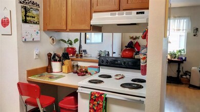 1529 N Polk Extension unit 2, Moscow, ID 83843 - photo 5