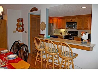 21 Lakeview Rd unit 15, Plymouth, VT 05056 - photo 3