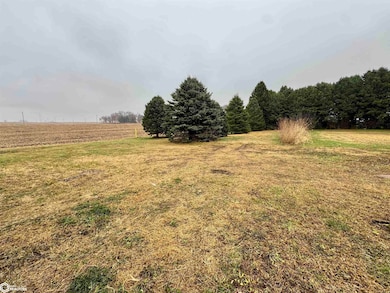 5045 3rd St, Audubon, IA 50025 - photo 3