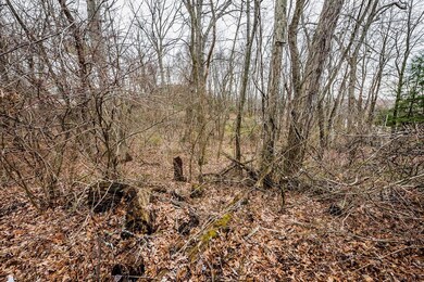 lot 5 N Fail Rd, La Porte, IN 46350 - photo 5