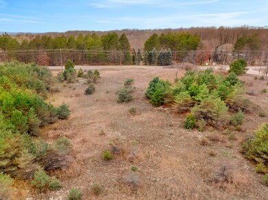 DJI_0869