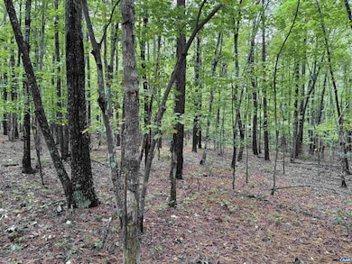 0 Meadow Creek Rd unit 669096, Wingina, VA 24599 - photo 3