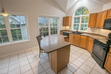 959 Grand View Ln, Aurora, OH 44202 - photo 6