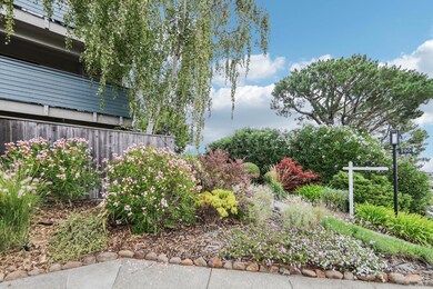 290 Via Casitas unit 206, Greenbrae, CA 94904 - photo 2