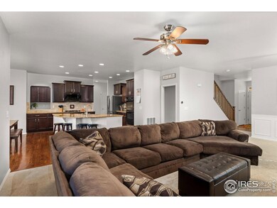 5871 Banner St, Timnath, CO 80547 - photo 6
