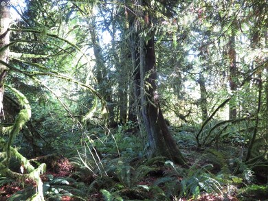 0 Klein Rd unit 17550674, Napavine, WA 98565 - photo 3