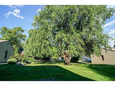 Yard/Garden.